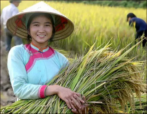Đặc sắc Lễ hội Ro&oacute;ng Poọc Sapa của đồng b&agrave;o người Gi&aacute;y 2