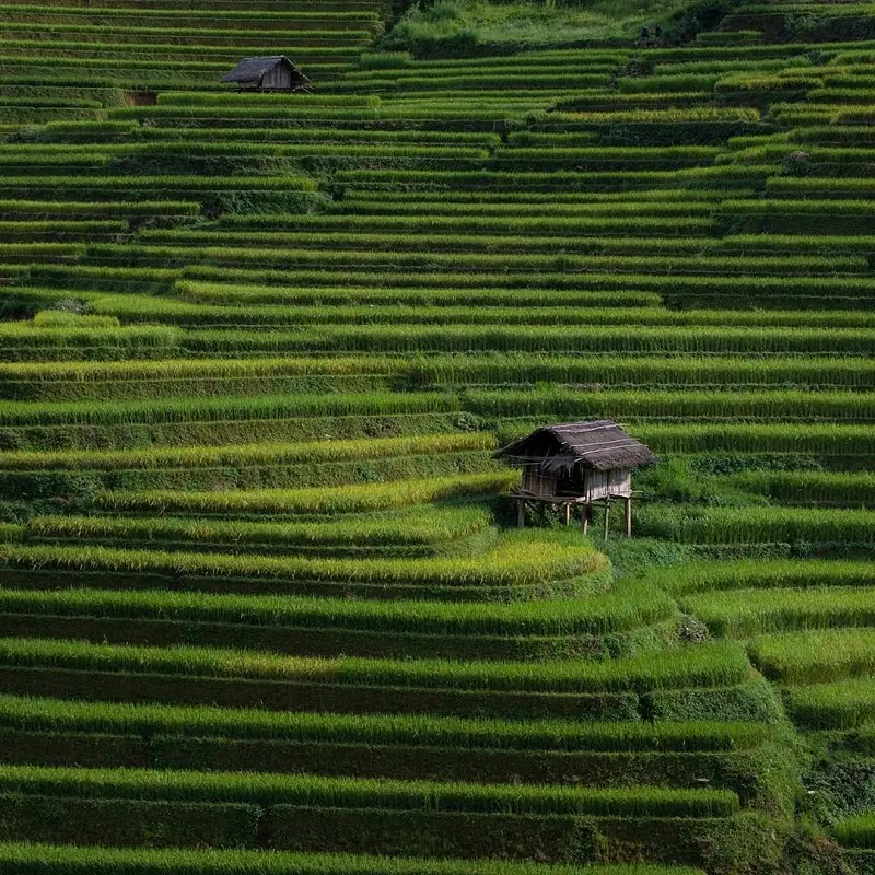 Cẩm nang du lịch Sapa 2026: Di chuyển, Ăn uống, Tham quan, Lưu tr&uacute; 8