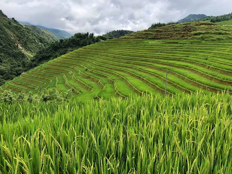 Dắt t&uacute;i kinh nghiệm đi Sapa bằng &ocirc; t&ocirc; tự l&aacute;i cực chi tiết cho người mới 8