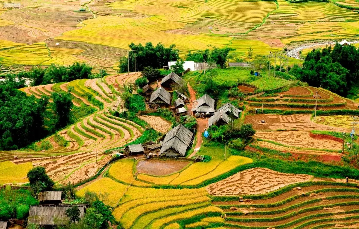 Gợi &yacute; bạn 15 hoạt động kh&aacute;m ph&aacute; Sapa tự t&uacute;c d&agrave;nh cho team cuồng ch&acirc;n 5
