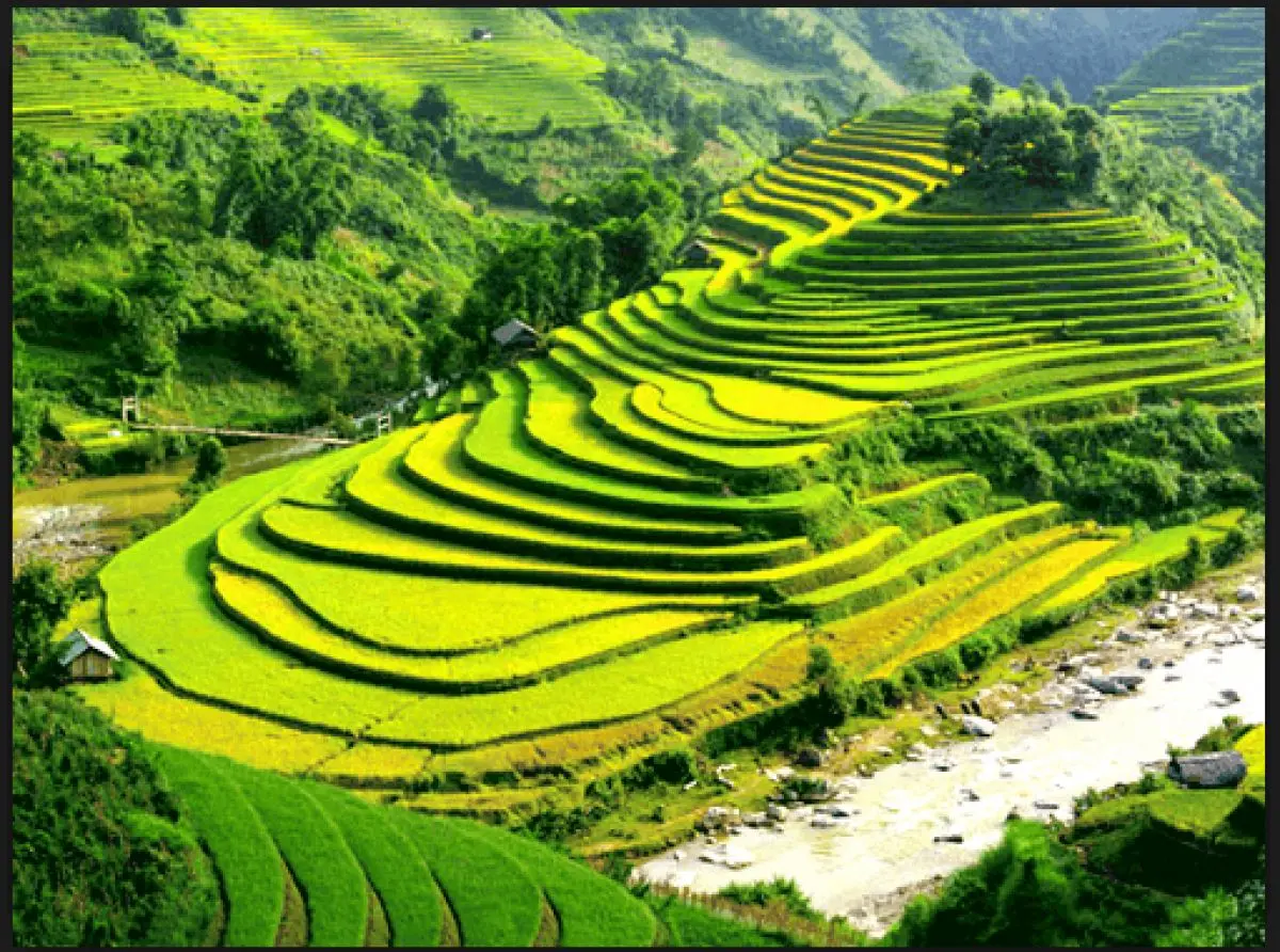 Gợi &yacute; lịch tr&igrave;nh ngắm l&uacute;a ở Sapa, mang vẻ đẹp rực rỡ, đơn sơ nhưng đầy ấn tượng 2