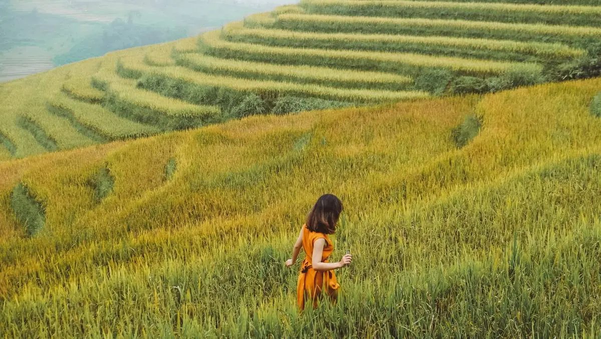 Gợi &yacute; lịch tr&igrave;nh ngắm l&uacute;a ở Sapa, mang vẻ đẹp rực rỡ, đơn sơ nhưng đầy ấn tượng 9