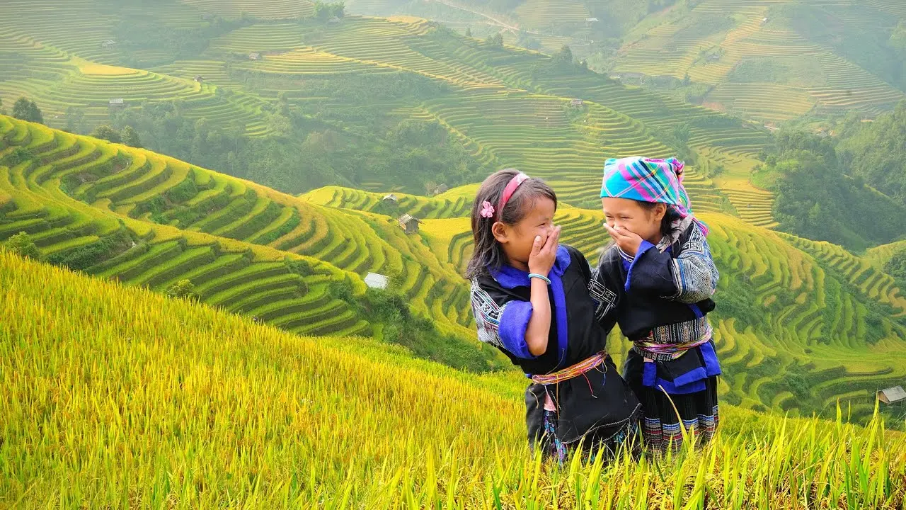 Gợi &yacute; lịch tr&igrave;nh ngắm l&uacute;a ở Sapa, mang vẻ đẹp rực rỡ, đơn sơ nhưng đầy ấn tượng 7
