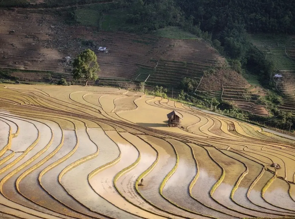 Kinh nghiệm đi Sapa m&ugrave;a nước đổ - Những trải nghiệm kh&oacute; qu&ecirc;n 5