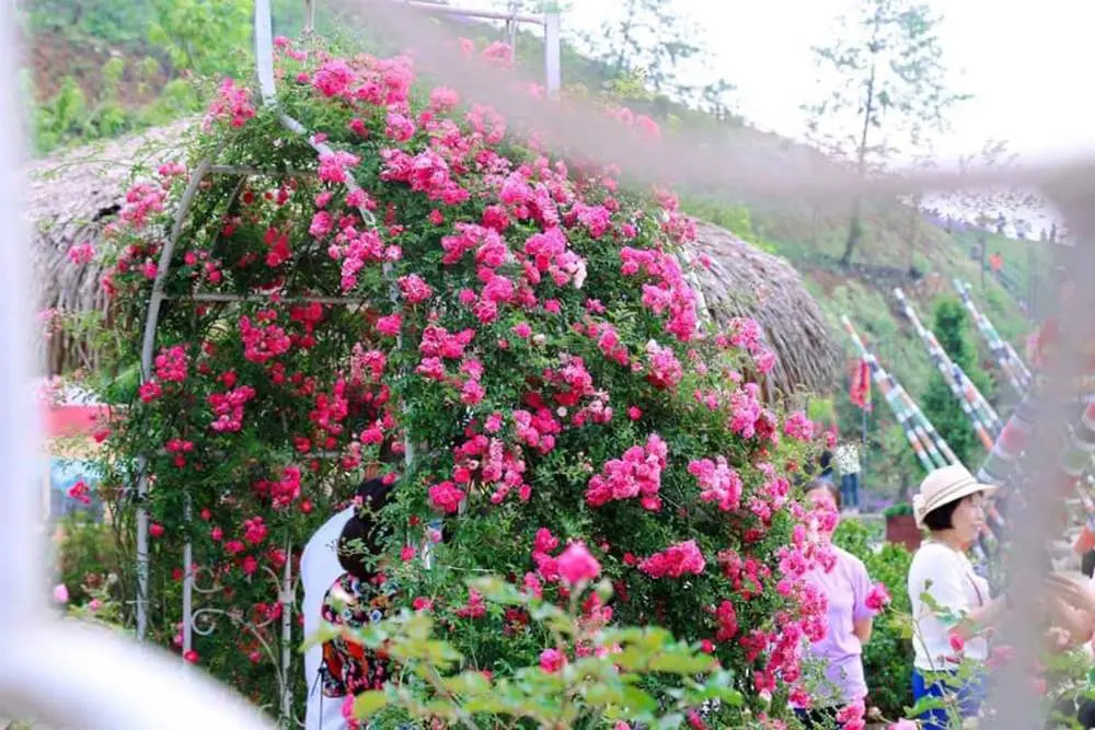 Kinh nghiệm đi Sapa m&ugrave;a nước đổ - Những trải nghiệm kh&oacute; qu&ecirc;n 6