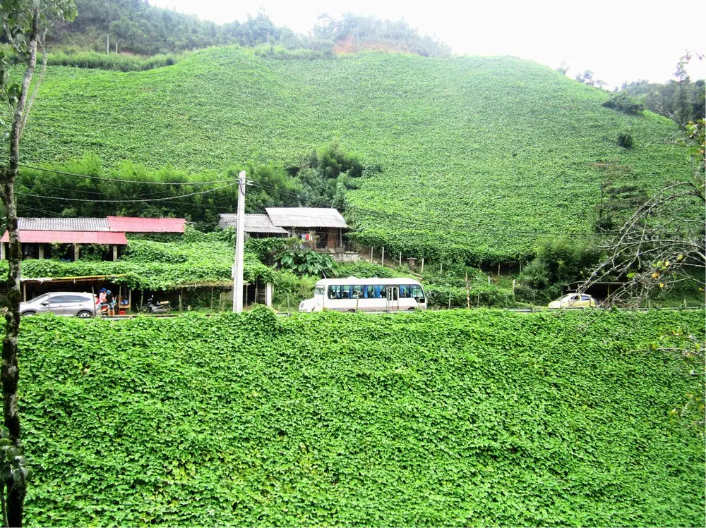 Kinh nghiệm đi Sapa m&ugrave;a nước đổ - Những trải nghiệm kh&oacute; qu&ecirc;n 12