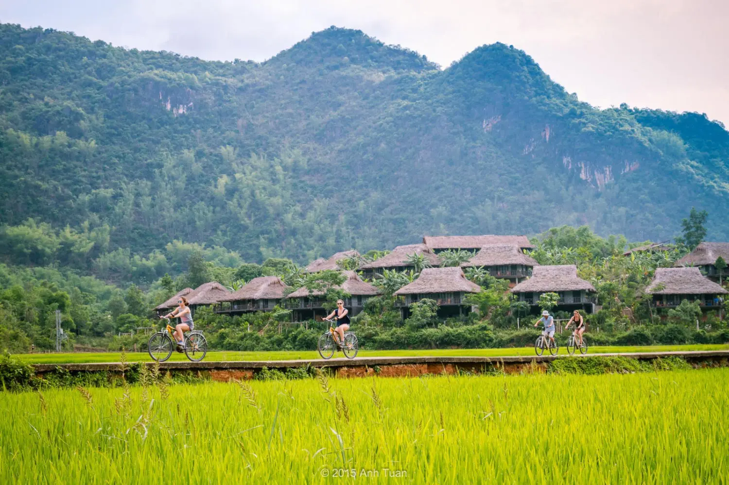 Kinh nghiệm săn l&uacute;a ở Sapa m&ugrave;a l&uacute;a ch&iacute;n v&agrave;ng ươm 5