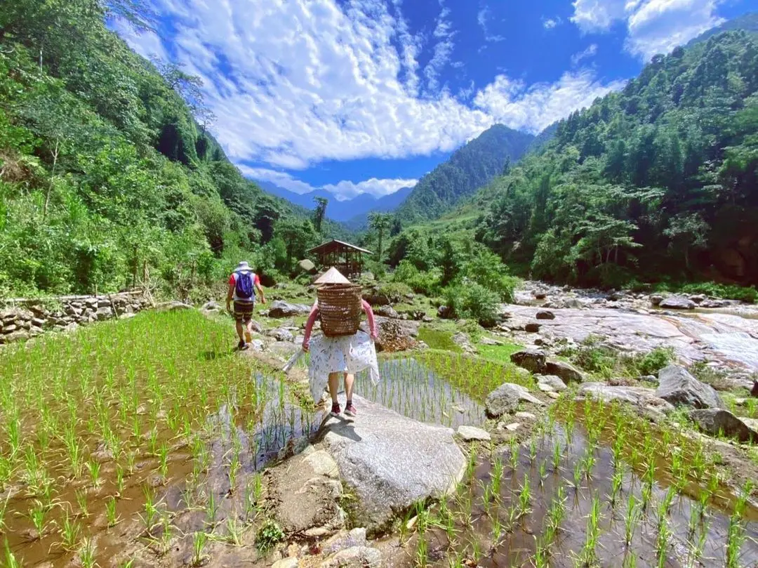 Kinh nghiệm trekking Sapa từ dễ đến kh&oacute; cho người mới bắt đầu 8