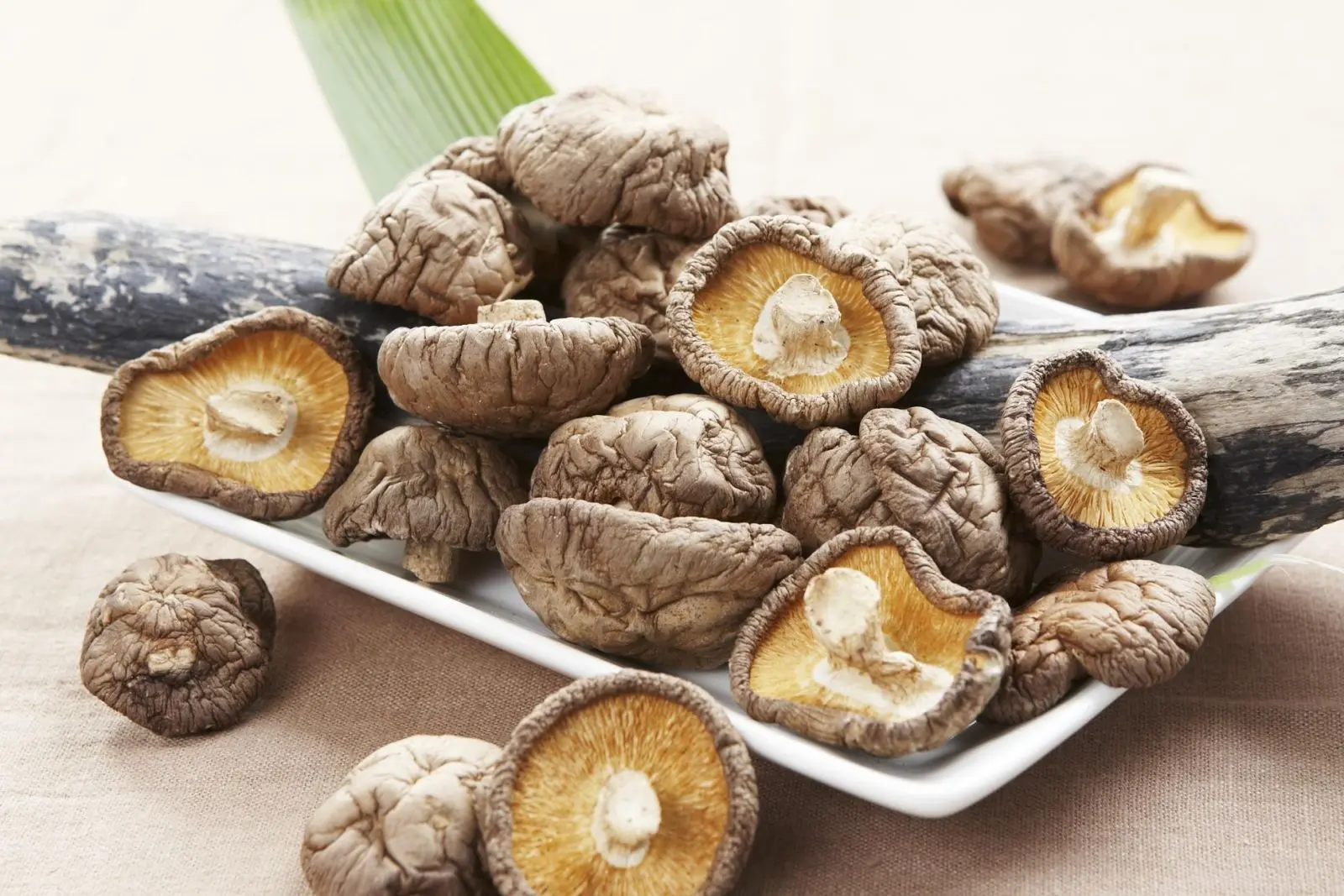 Trả lời đầy đủ cho câu hỏi được nhiều du khách quan tâm Đi Sapa mua quà lưu niệm gì?
