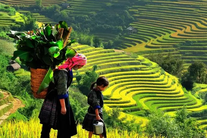 Lịch tr&igrave;nh kh&aacute;m ph&aacute; Sapa 2N1Đ - Đường l&ecirc;n Thị trấn trong m&acirc;y hấp dẫn, cực chi tiết 5