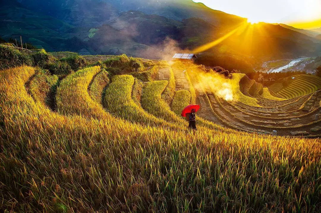 Lịch tr&igrave;nh kh&aacute;m ph&aacute; Sapa 2N1Đ - Đường l&ecirc;n Thị trấn trong m&acirc;y hấp dẫn, cực chi tiết 8