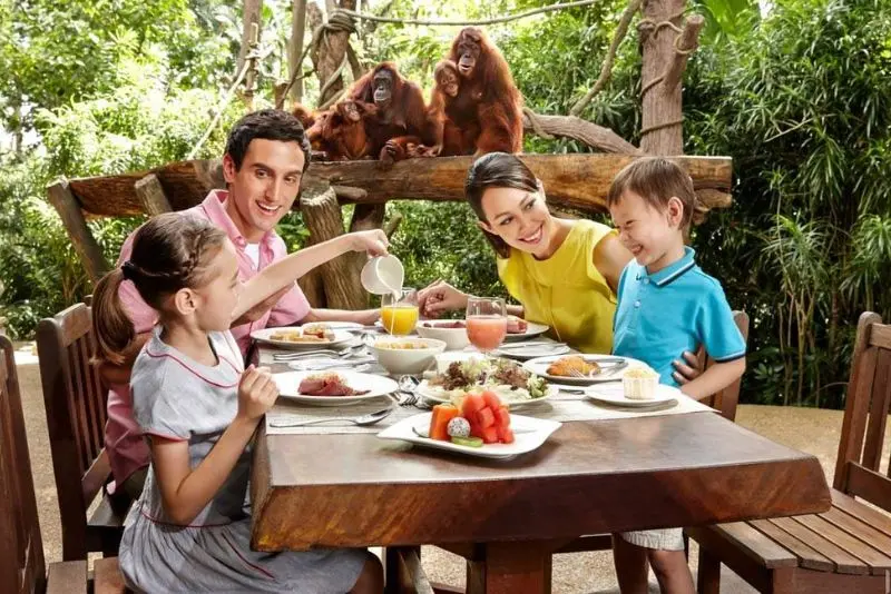Đến Singapore Zoo thăm hai bạn 'quốc bảo' gấu tr&uacute;c đ&aacute;ng y&ecirc;u 8