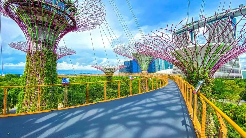 Gardens by the Bay, vườn nh&acirc;n tạo quy m&ocirc; khủng tại Singapore 6