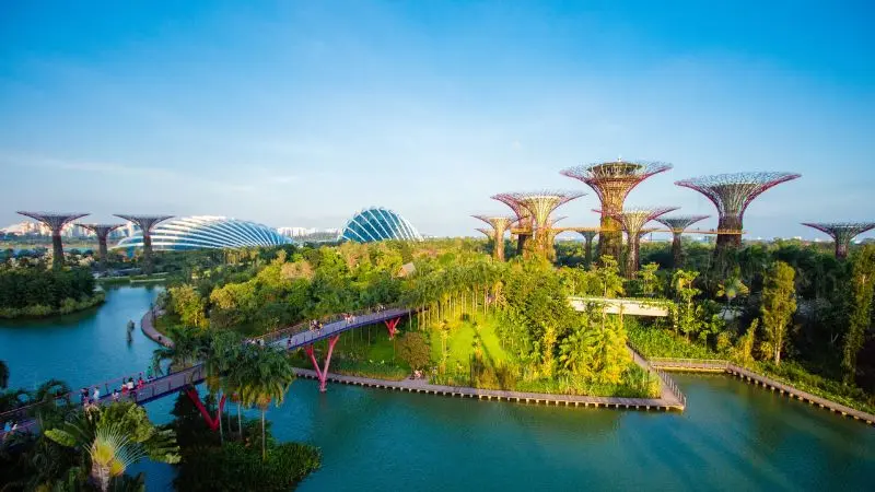 Gardens by the Bay, vườn nh&acirc;n tạo quy m&ocirc; khủng tại Singapore 2