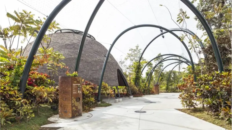 Gardens by the Bay, vườn nh&acirc;n tạo quy m&ocirc; khủng tại Singapore 4