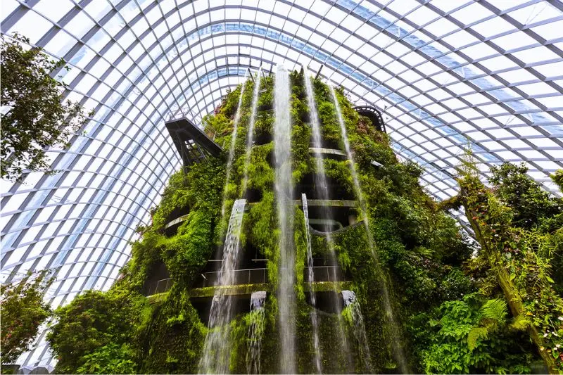 Gardens by the Bay, vườn nh&acirc;n tạo quy m&ocirc; khủng tại Singapore 9