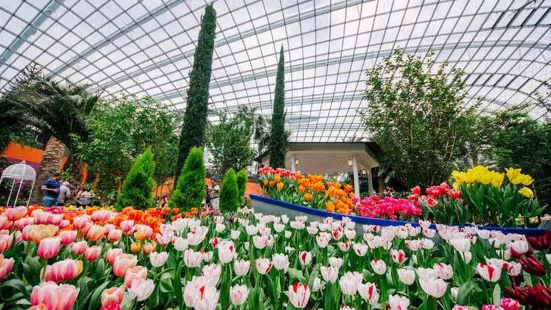 Gardens by the Bay, vườn nh&acirc;n tạo quy m&ocirc; khủng tại Singapore 3