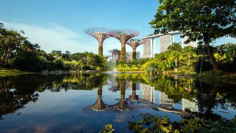 Gardens by the Bay, vườn nh&acirc;n tạo quy m&ocirc; khủng tại Singapore 8