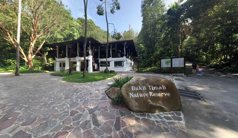 Kh&aacute;m ph&aacute; mảng xanh Bukit Timah giữa l&ograve;ng Singapore 6