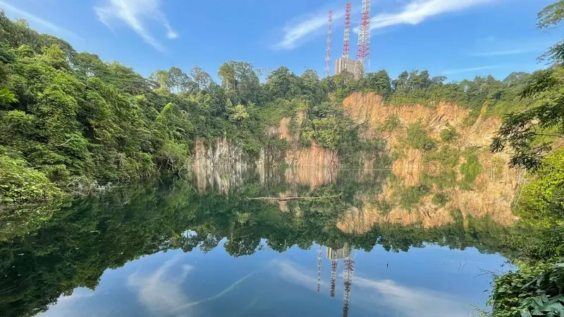 Kh&aacute;m ph&aacute; mảng xanh Bukit Timah giữa l&ograve;ng Singapore 2