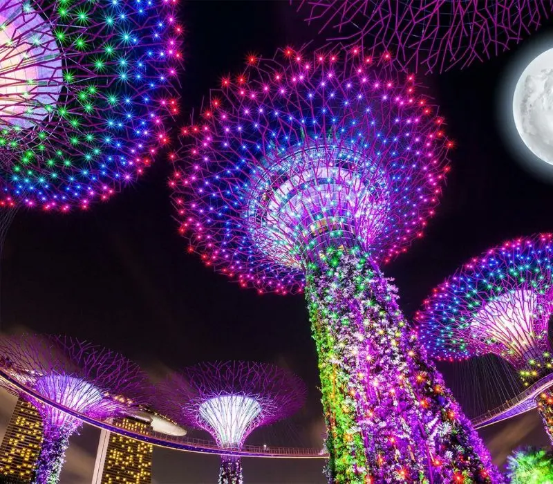 Top 10 cảnh đẹp Singapore về đêm nâng tầm trải nghiệm ở đảo quốc