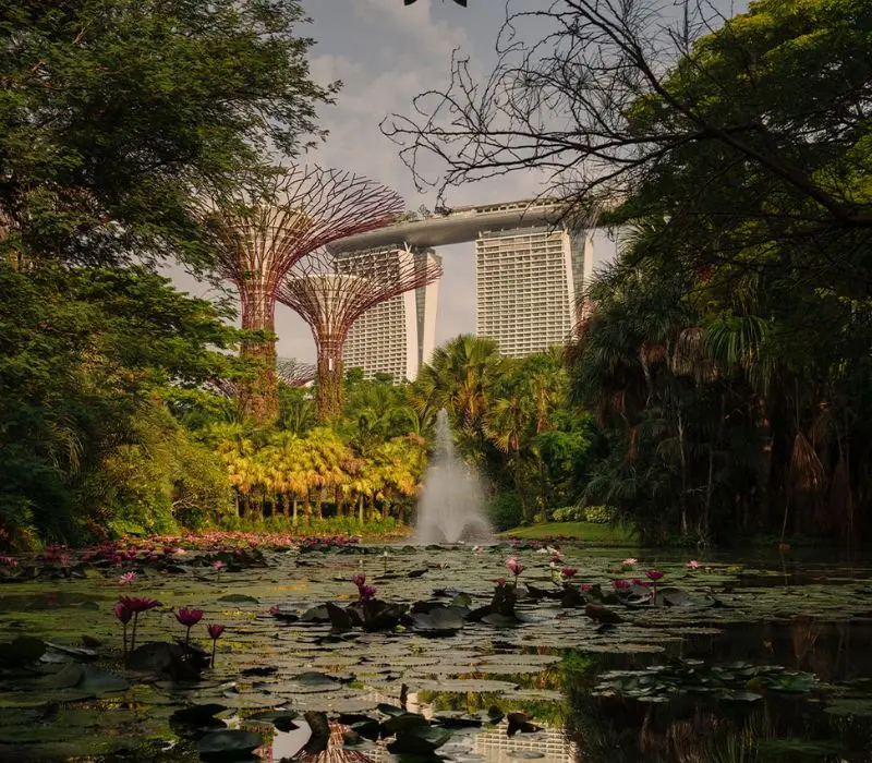 Du lịch Singapore 4 ng&agrave;y 3 đ&ecirc;m: Lịch tr&igrave;nh chinh phục đảo quốc sư tử 17