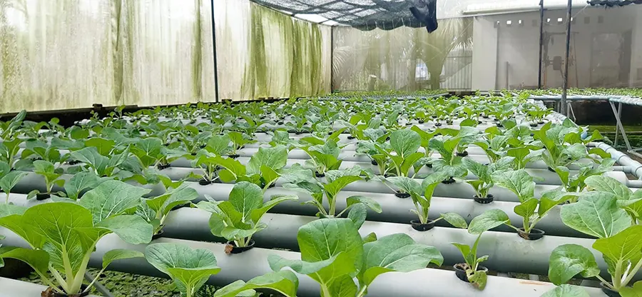 Bật m&iacute; top qu&aacute;n lẩu S&oacute;c Trăng thơm ngon trứ danh cho t&iacute;n đồ ẩm thực 2
