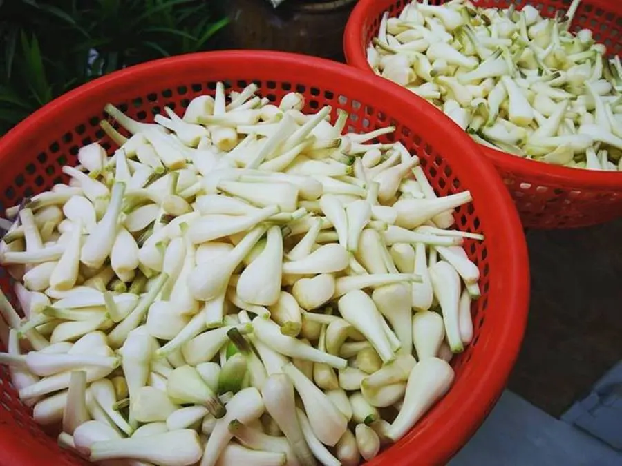 Dưa kiệu đường S&oacute;c Trăng, m&oacute;n ngon kh&ocirc;ng thể thiếu trong ng&agrave;y Tết 4