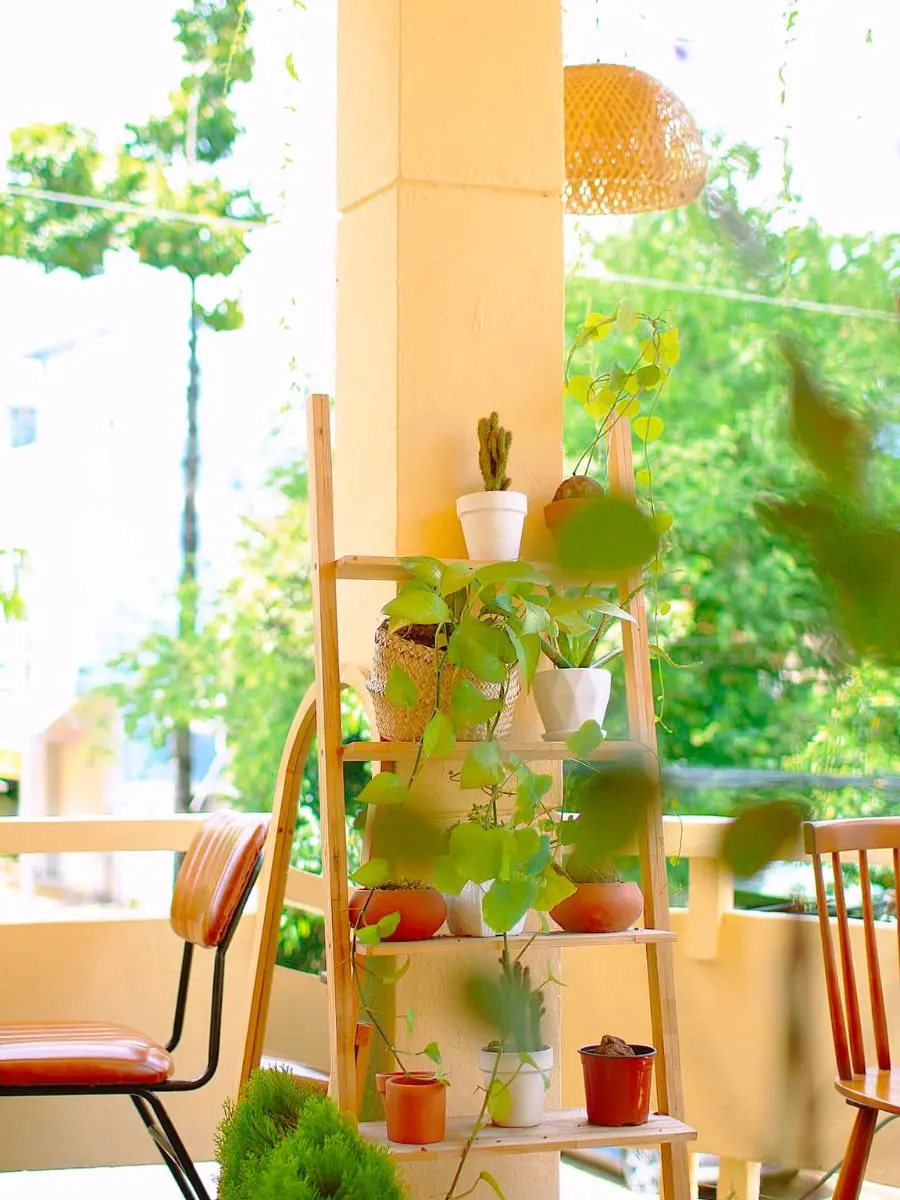 Gh&eacute; Tiệm Tr&agrave; B&aacute;nh TaChi với kh&ocirc;ng gian đẹp mắt chill chill dịp cuối tuần 8
