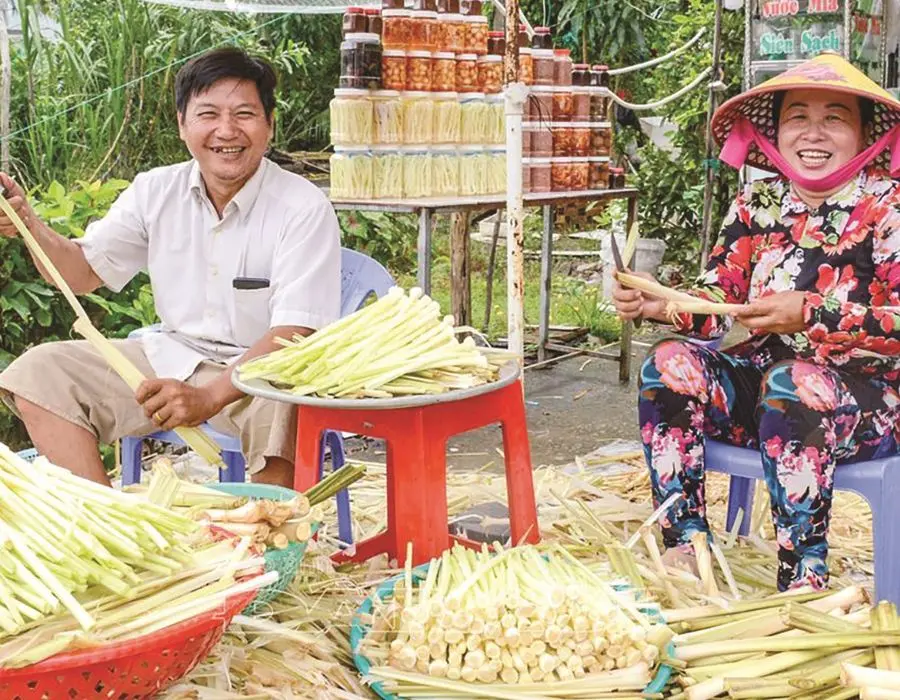 Hương vị Dưa bồn bồn S&oacute;c Trăng giữa ng&agrave;y mưa nặng hạt 3