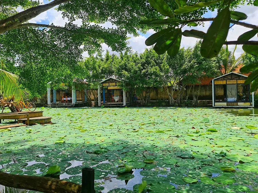 Kh&aacute;m ph&aacute; Gạo Tẻ Restaurant S&oacute;c Trăng c&ugrave;ng thực đơn si&ecirc;u hấp dẫn 3