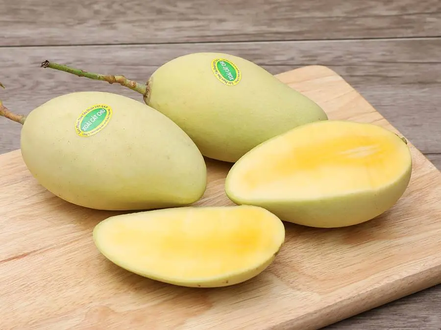 Thưởng thức xo&agrave;i C&aacute;t Chu S&oacute;c Trăng, đặc sản miền T&acirc;y Nam Bộ 5