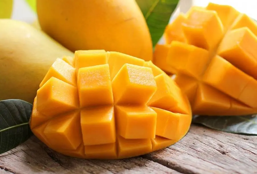Thưởng thức xo&agrave;i C&aacute;t Chu S&oacute;c Trăng, đặc sản miền T&acirc;y Nam Bộ 4