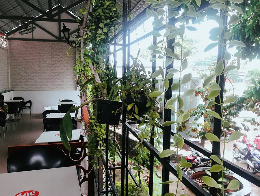 Top 5 qu&aacute;n cafe S&oacute;c Trăng với mu&ocirc;n ng&agrave;n g&oacute;c sống ảo thần th&aacute;nh 4