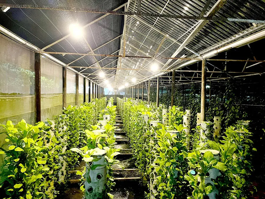 Trang trại nh&agrave; h&agrave;ng Ng&ocirc;i Sao Nhỏ v&agrave; kh&ocirc;ng gian ẩm thực đậm chất s&ocirc;ng nước 4