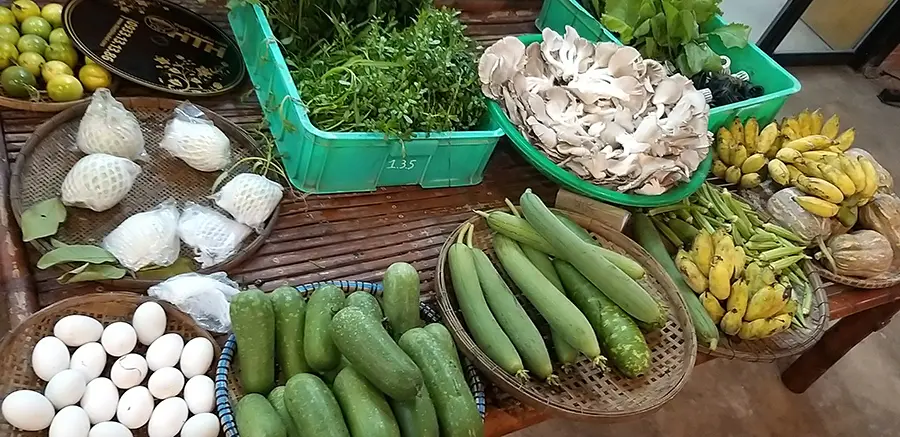 Trang trại nh&agrave; h&agrave;ng Ng&ocirc;i Sao Nhỏ v&agrave; kh&ocirc;ng gian ẩm thực đậm chất s&ocirc;ng nước 8