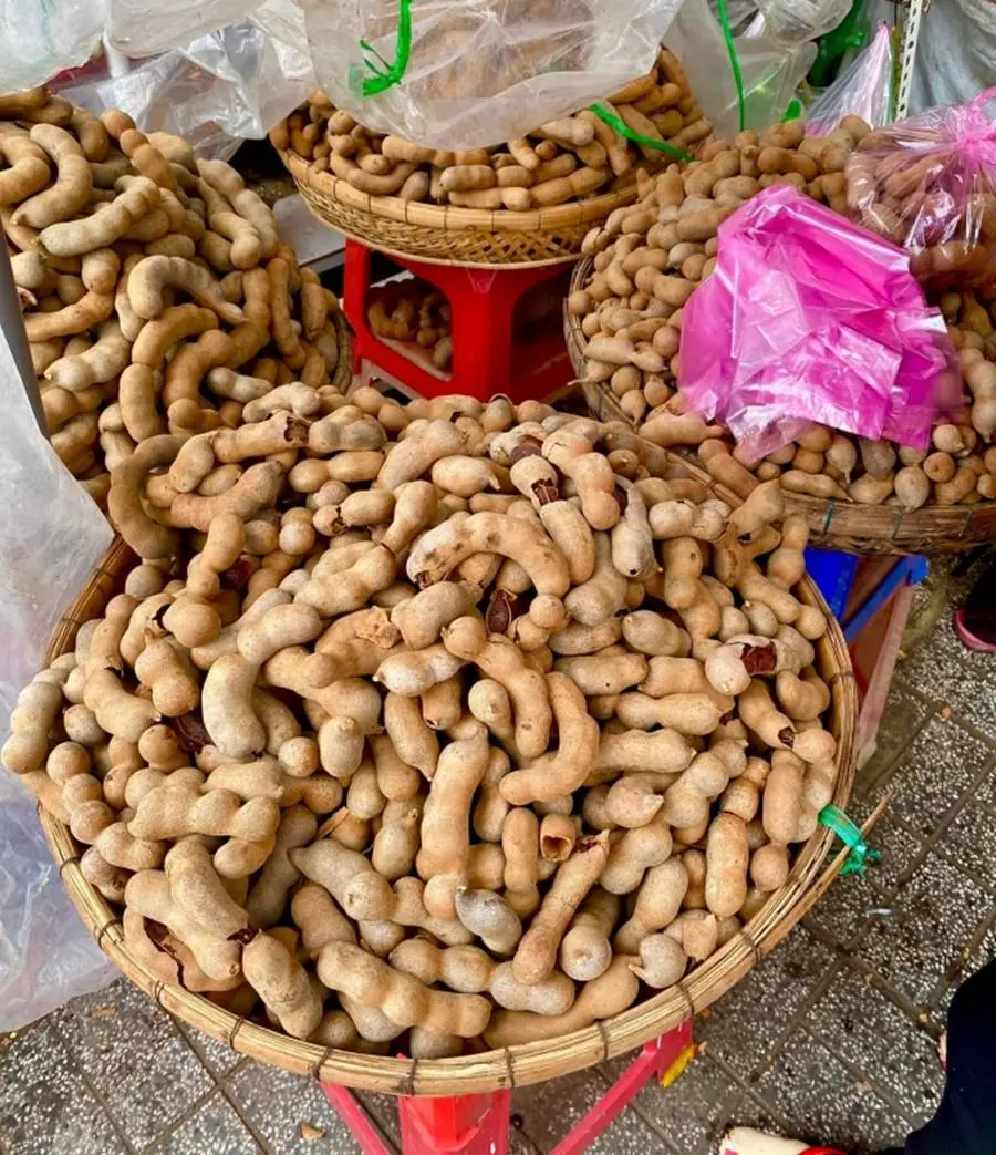 Hành trình một ngày ở Sóc Trăng, khám phá Vương quốc chùa Khmer 4