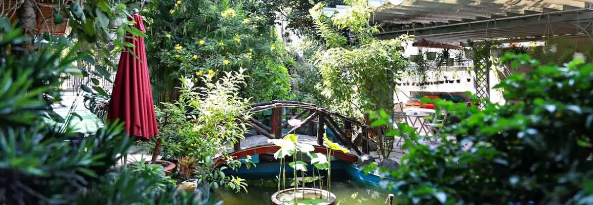 Cà phê Ngọc Hà, không gian xanh ngát giữa lòng Tây Ninh