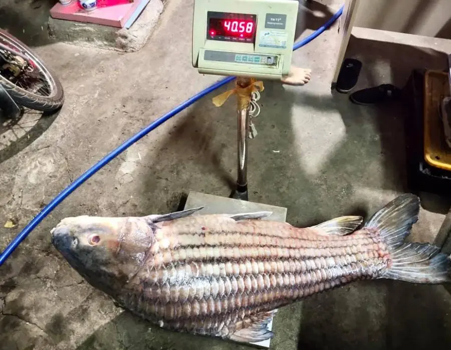 Đến Nh&agrave; h&agrave;ng S&ocirc;ng Qu&ecirc; thưởng thức những m&oacute;n ăn d&acirc;n d&atilde; 5