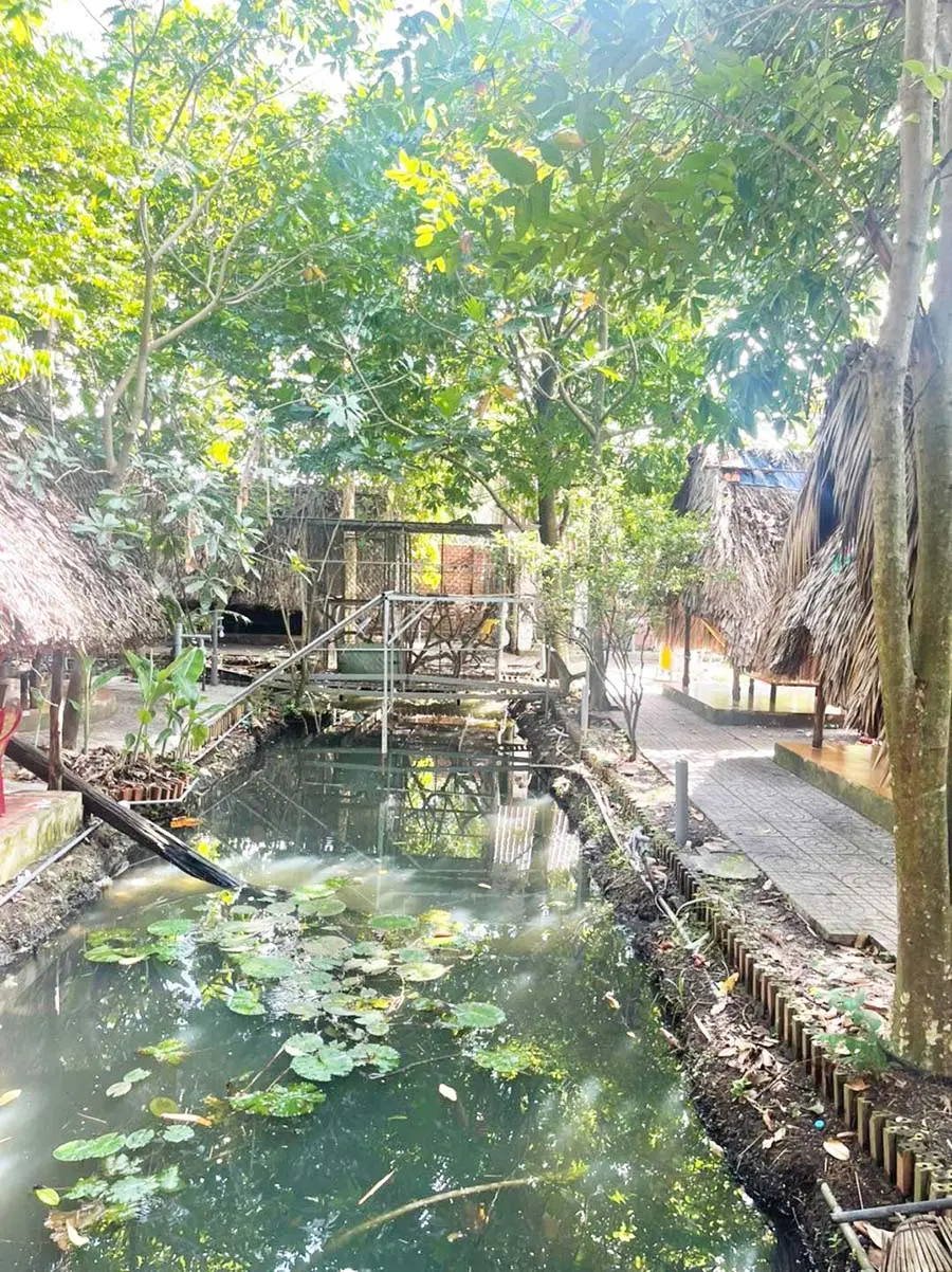 Gh&eacute; B&agrave;u Sen Qu&aacute;n thưởng thức đặc sản trong kh&ocirc;ng gian s&acirc;n vườn m&aacute;t mẻ 5