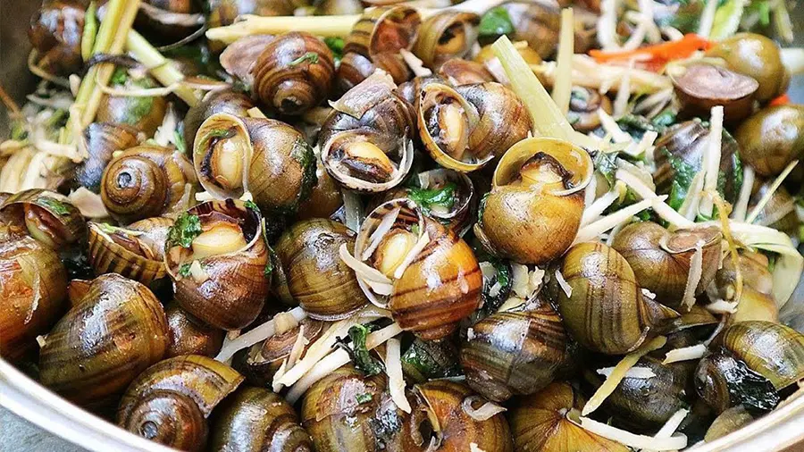 Gợi &yacute; ăn g&igrave; g&igrave; khi gh&eacute; qua T&acirc;y Ninh 8