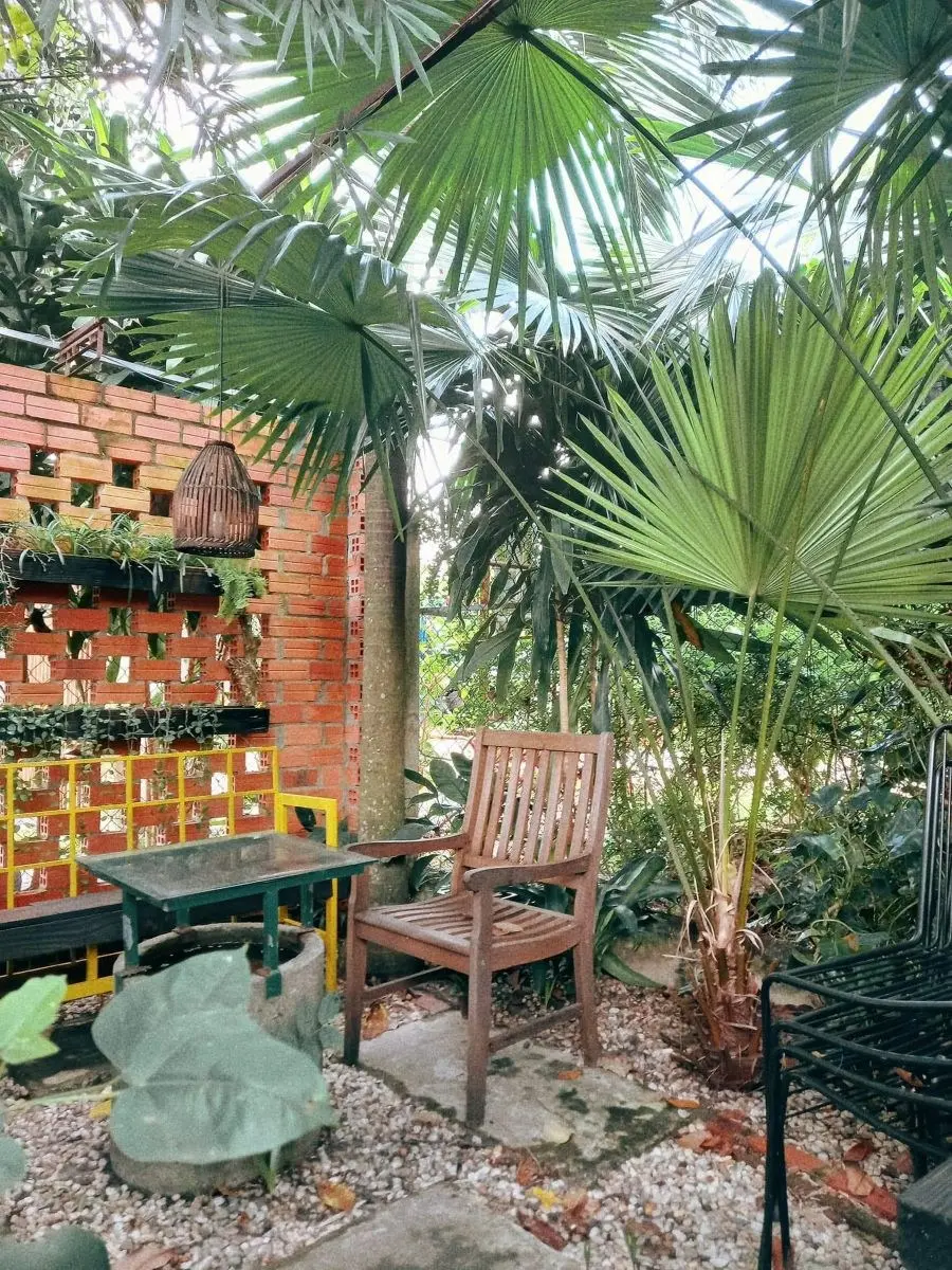 Khám phá Green Cafe Tây Ninh với không gian xanh cực chill 2