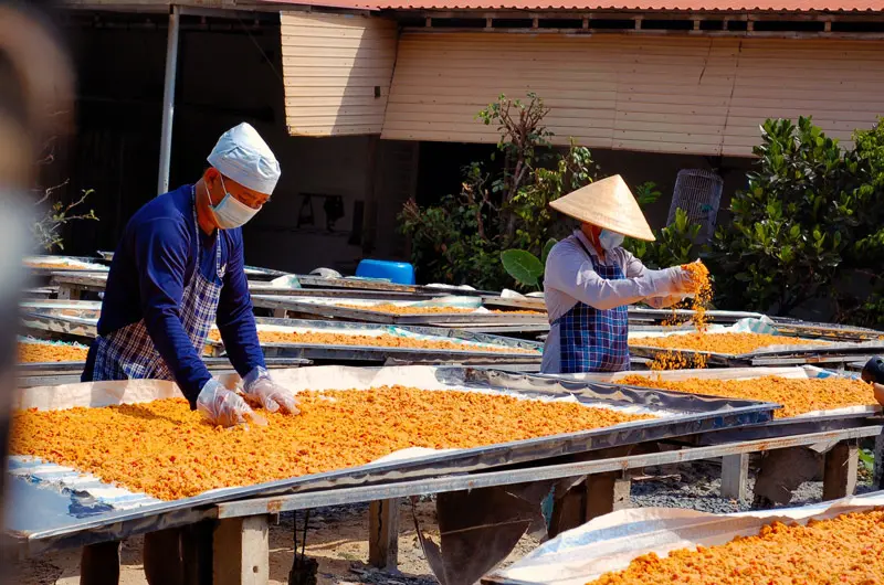 Muối ớt T&acirc;y Ninh, đặc sản trứ danh miền Đ&ocirc;ng Nam Bộ 12