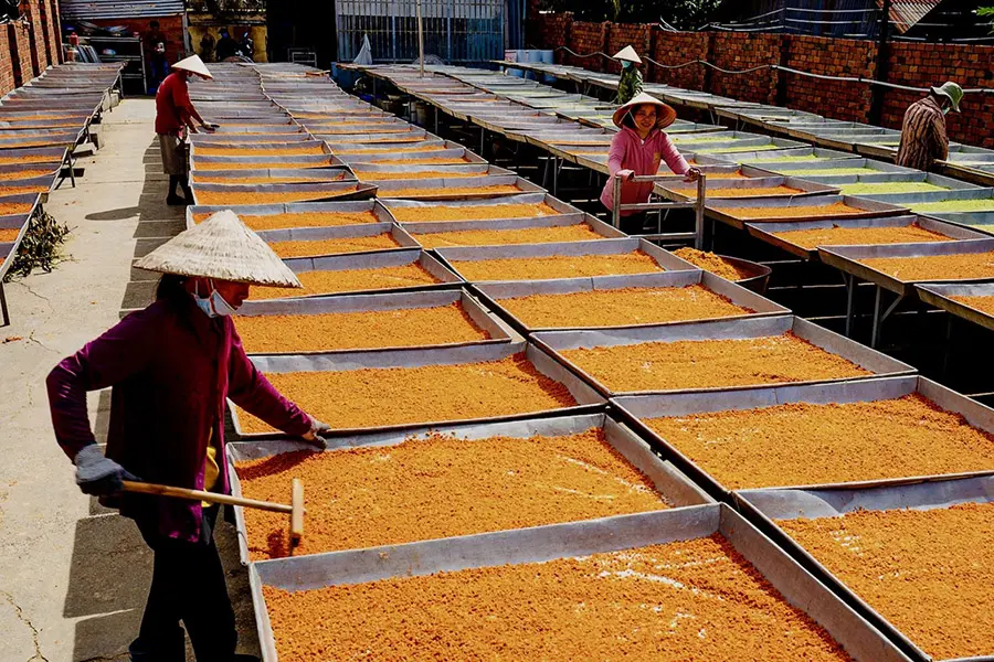 Muối t&ocirc;m T&acirc;y Ninh, vương vấn hương vị đậm đ&agrave; miền Nam Bộ 7