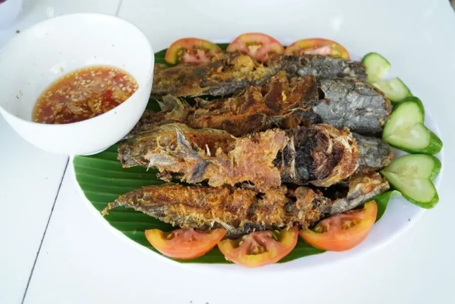 Qu&aacute;n Cầu Nổi T&acirc;y Ninh, ẩm thực kết hợp du lịch sinh th&aacute;i độc đ&aacute;o 3