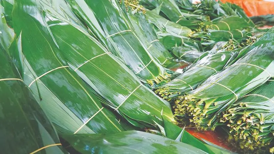 Thưởng thức B&aacute;nh &uacute; l&aacute; tre T&acirc;y Ninh với hương vị đậm chất Nam Bộ 5