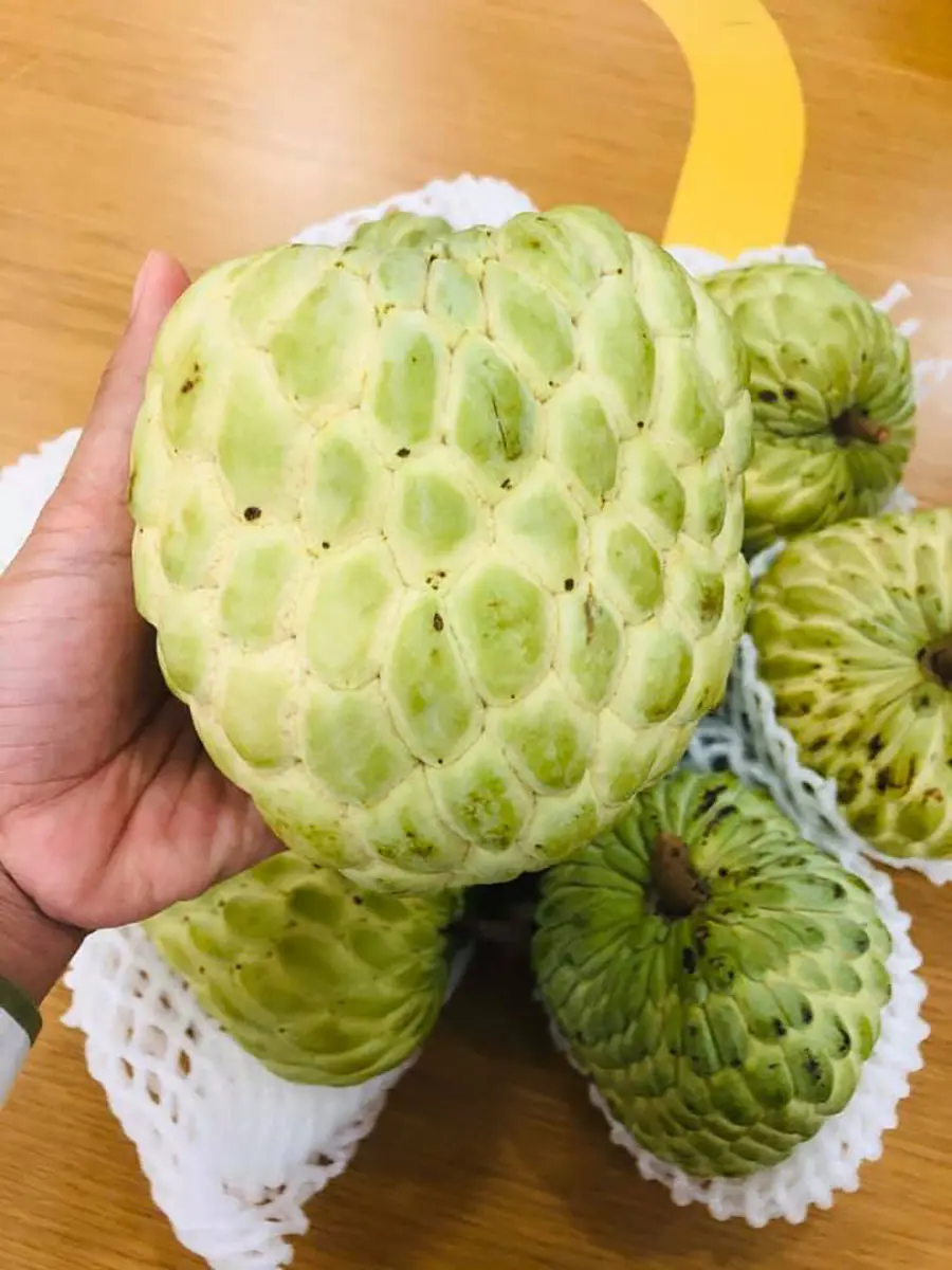 Thưởng thức M&atilde;ng cầu T&acirc;y Ninh, đặc sản nức tiếng gần xa 3