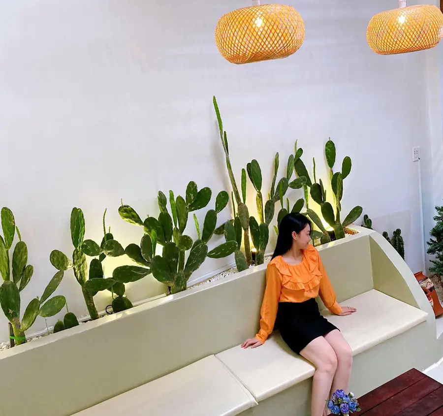 Tiệm c&agrave; ph&ecirc; Domini, chốn thư gi&atilde;n b&igrave;nh y&ecirc;n giữa phố n&uacute;i T&acirc;y Ninh 4