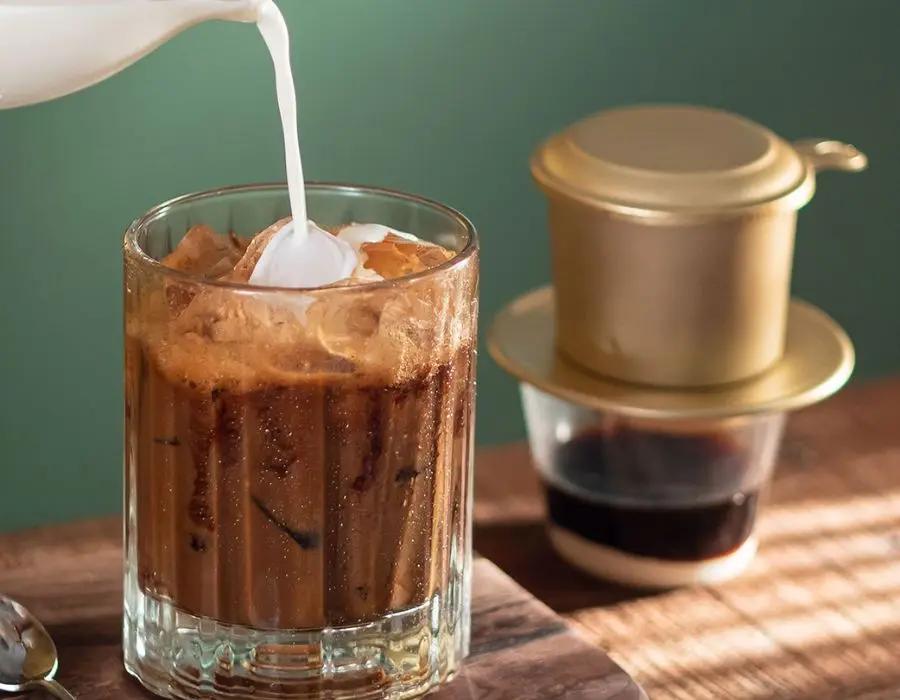 Tiệm cafe và cây Hiên Nắng, không gian cà phê xanh mát 6