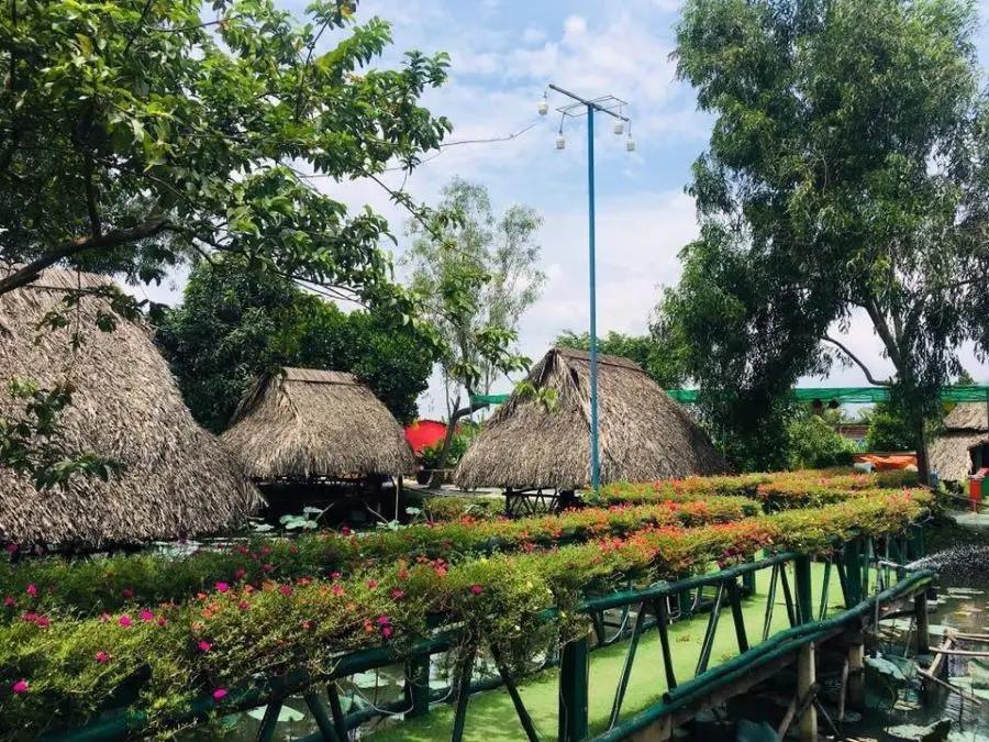 Top qu&aacute;n ăn ẩm thực sinh th&aacute;i tại T&acirc;y Ninh bạn n&ecirc;n gh&eacute; thử một lần 7